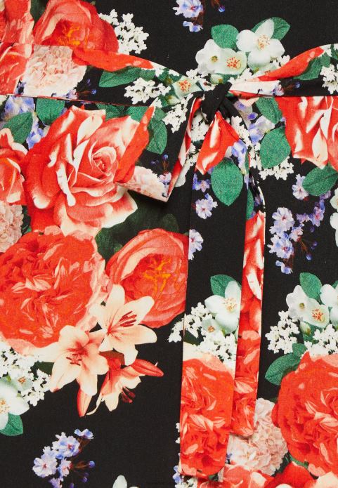 sievietes dienas kleita melna/sarkana 2LHT17 Anna Field