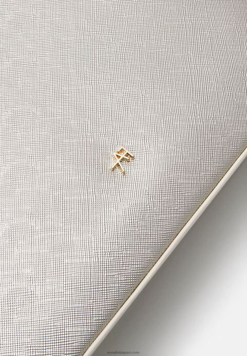 sievietes rokassomiņa sudraba krāsā 2LHT2351 Anna Field